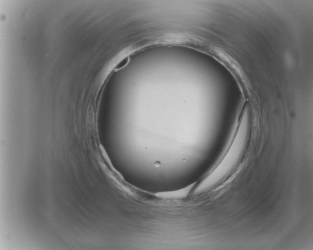 X0000085291473200703231820