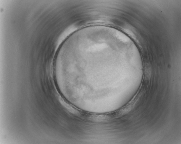 X0000085291474200703231820