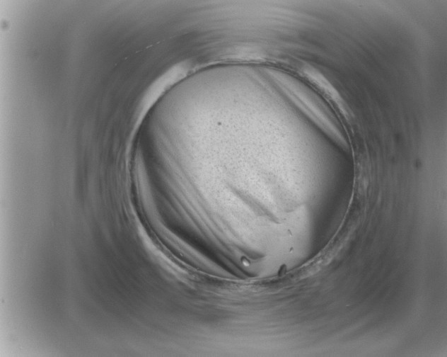 X0000085291475200703231820