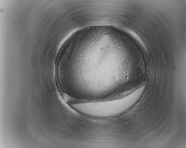 X0000085291476200703231820