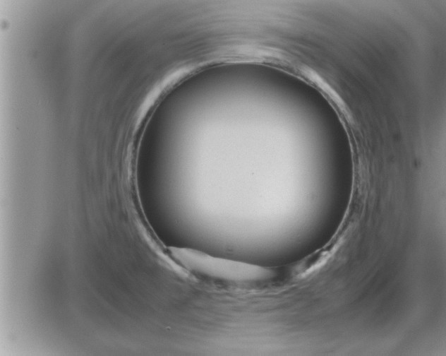 X0000085291477200703231820