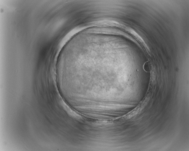 X0000085291478200703231820