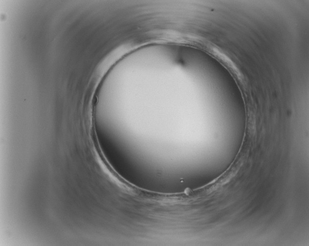 X0000085291479200703231820