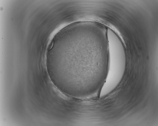 X0000085291480200703231820