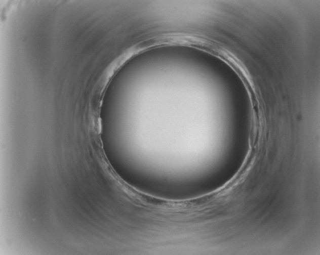 X0000085291481200703231820