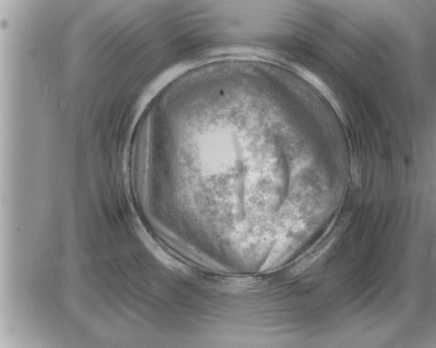 X0000085291482200703231820