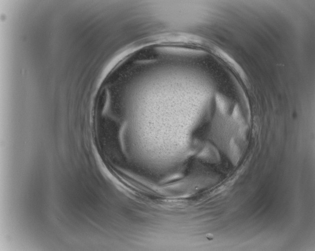 X0000085291483200703231820