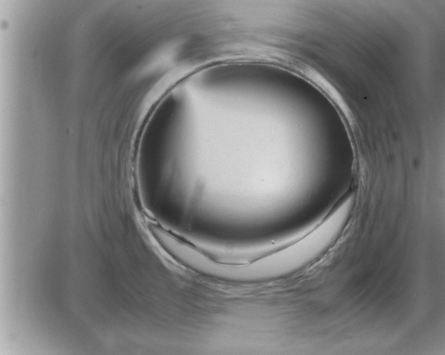 X0000085291485200703231820