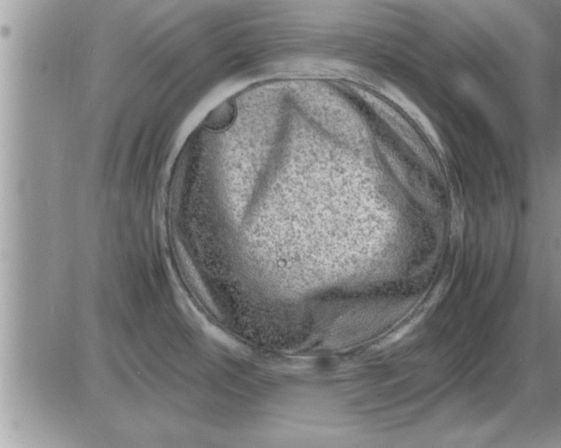 X0000085291486200703231820