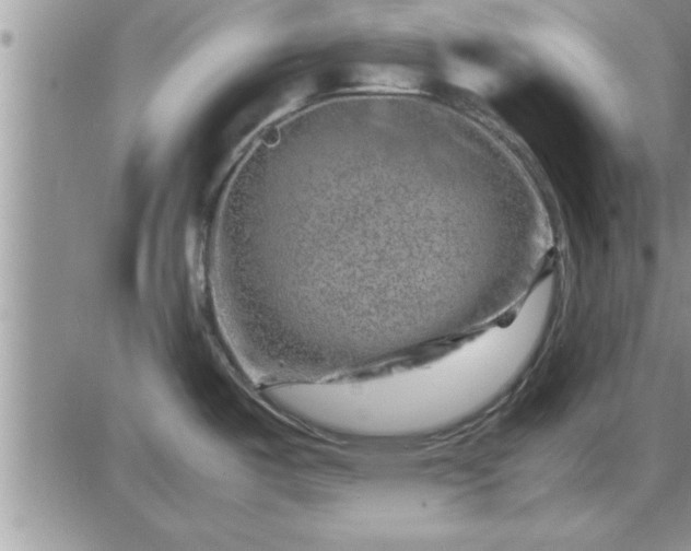 X0000085291487200703231820