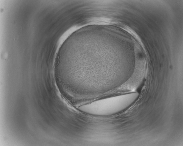 X0000085291488200703231820