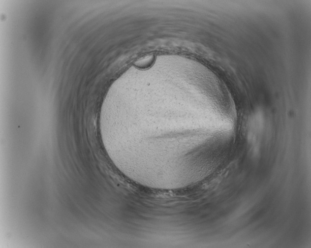 X0000085291489200703231819