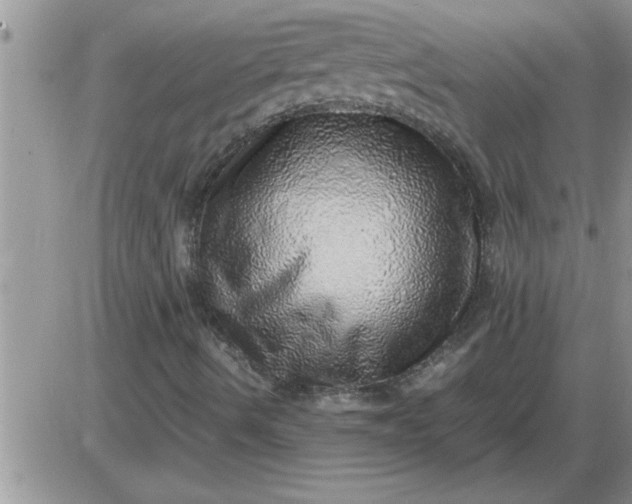 X0000085291490200703231819