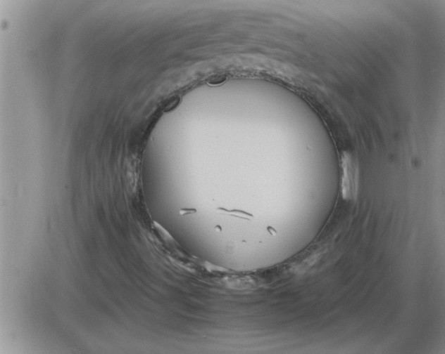 X0000085291491200703231819