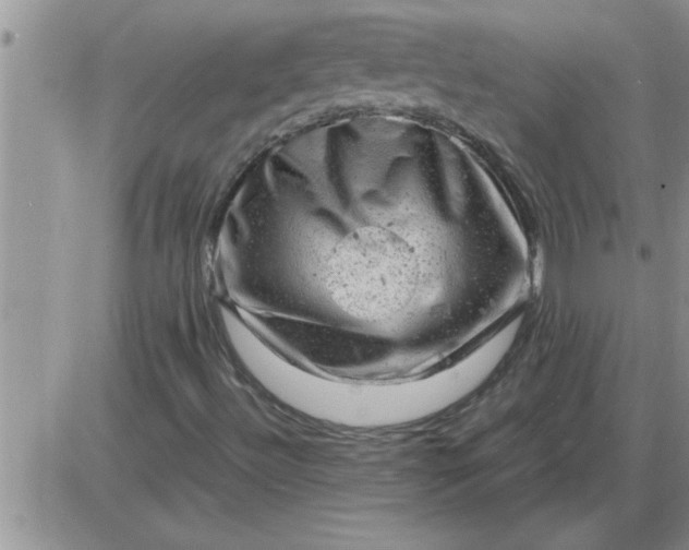 X0000085291492200703231819