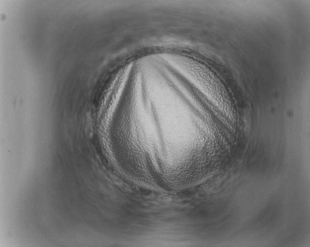 X0000085291493200703231819