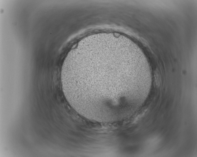 X0000085291494200703231819