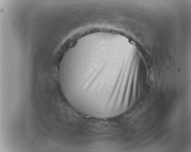 X0000085291495200703231819