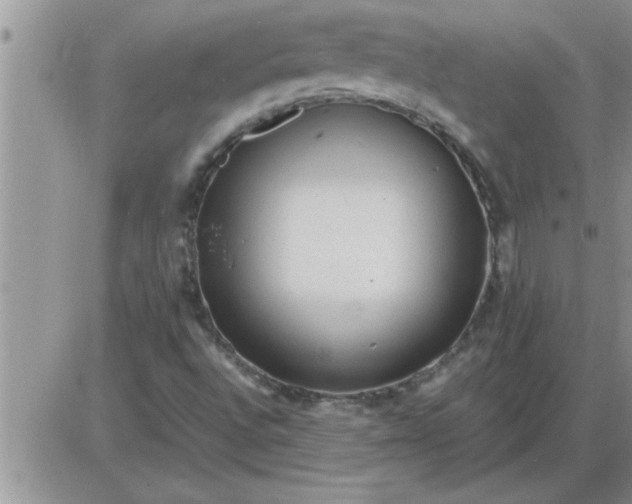 X0000085291496200703231819