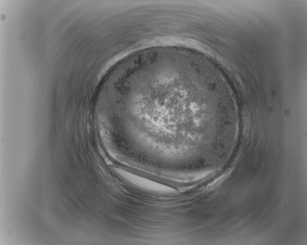 X0000085291497200703231819