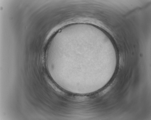 X0000085291498200703231819