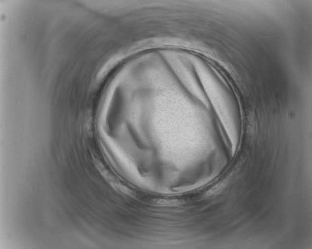 X0000085291499200703231819