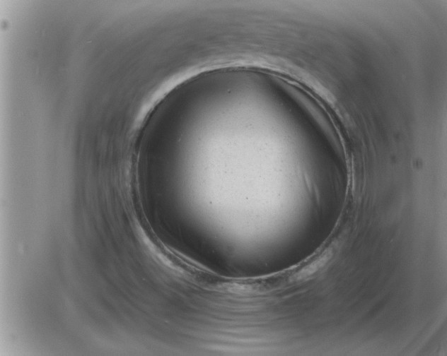 X0000085291500200703231819