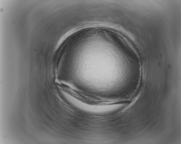 X0000085291501200703231819