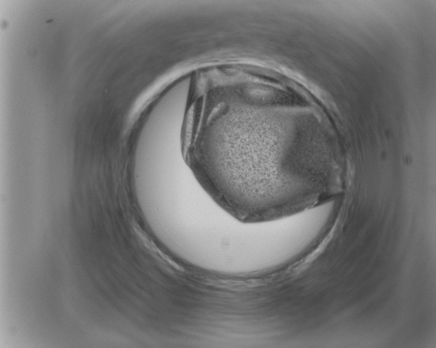 X0000085291502200703231819