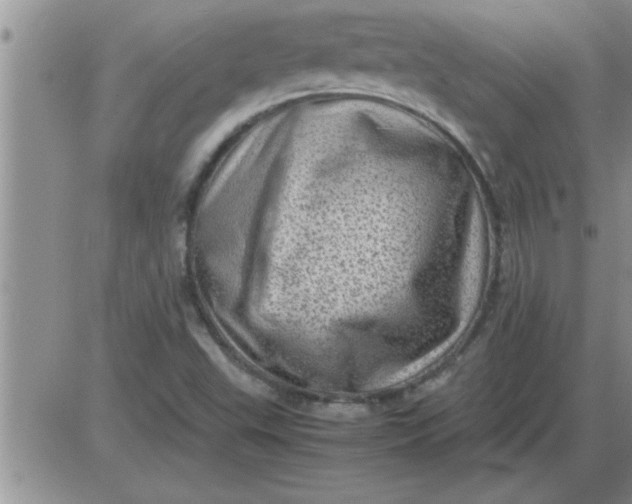 X0000085291503200703231819