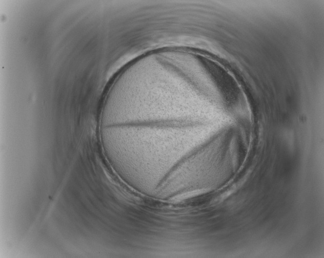 X0000085291505200703231819