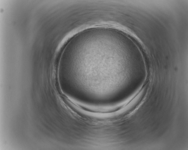 X0000085291506200703231819