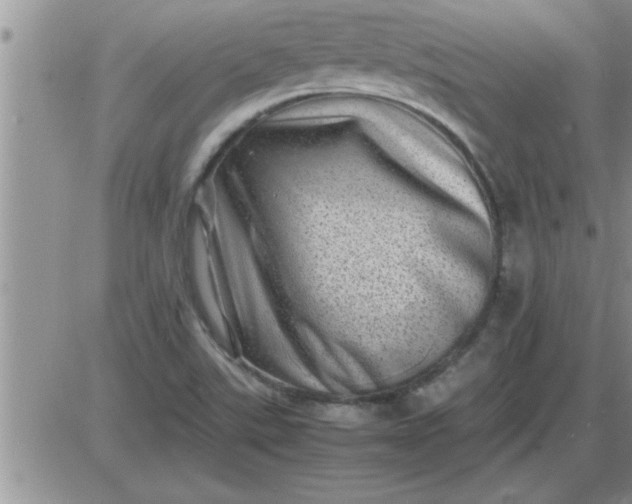 X0000085291507200703231819