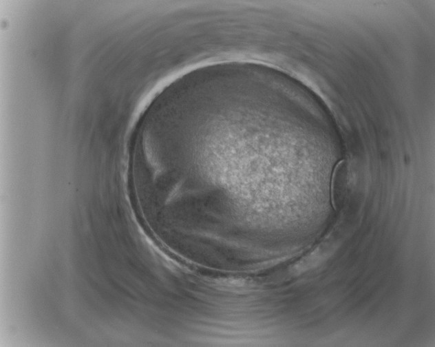 X0000085291508200703231819