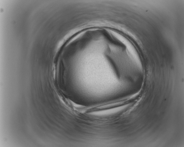 X0000085291509200703231819