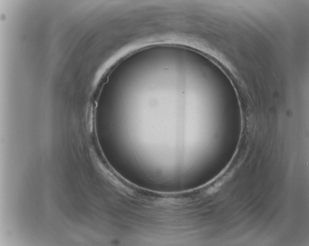 X0000085291510200703231819