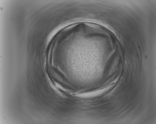 X0000085291511200703231819