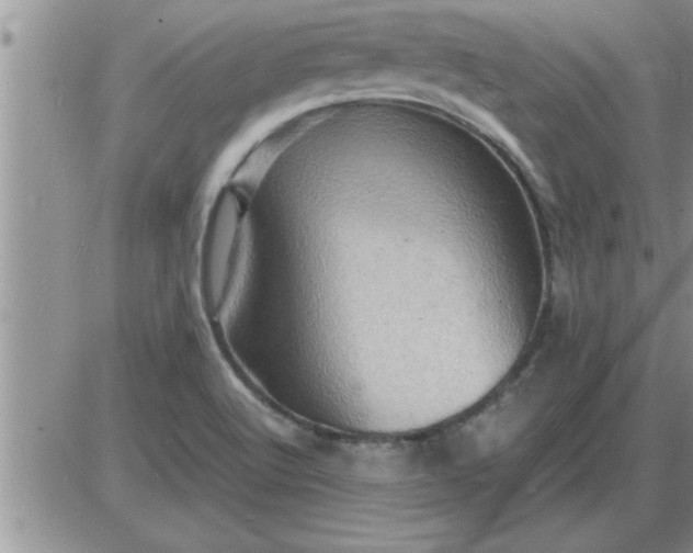 X0000085291512200703231819