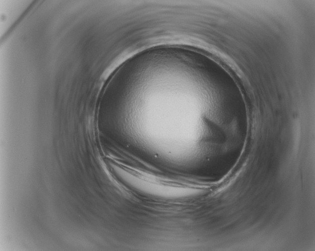 X0000085291513200703231819