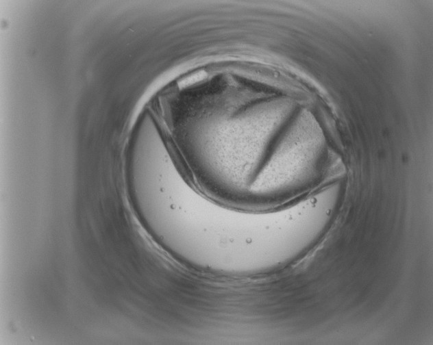 X0000085291514200703231819