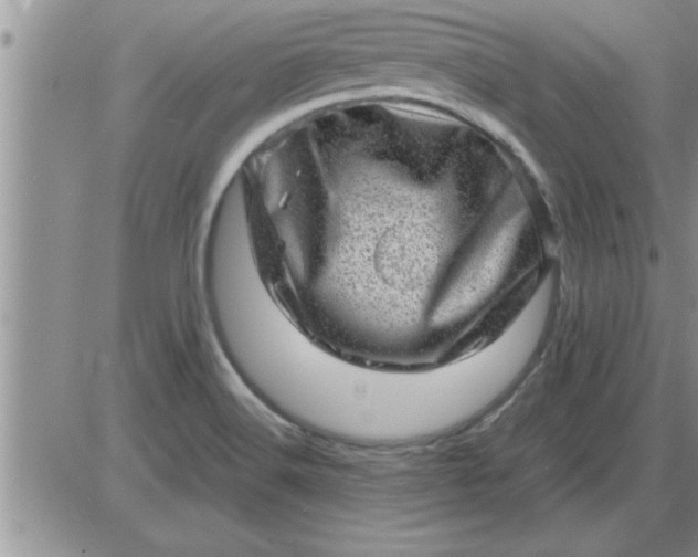 X0000085291516200703231819