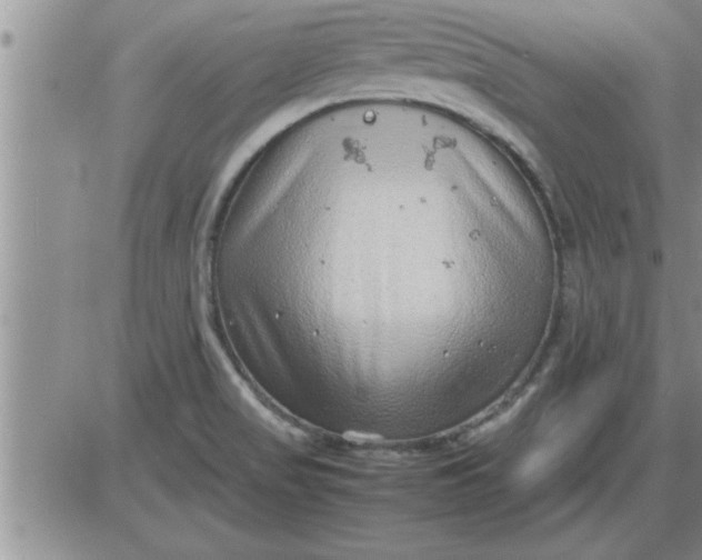 X0000085291517200703231819