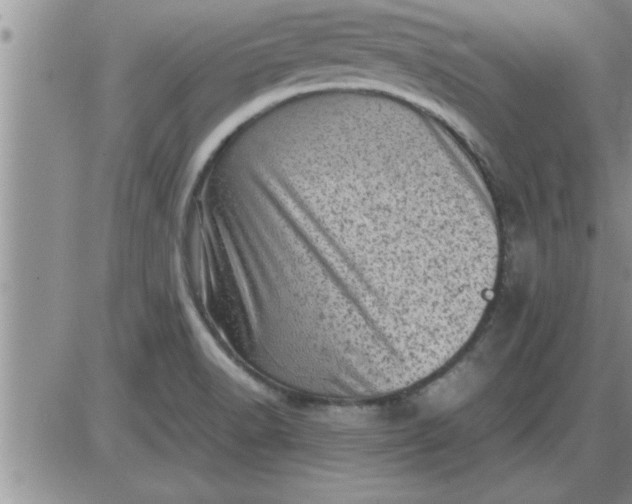 X0000085291518200703231819