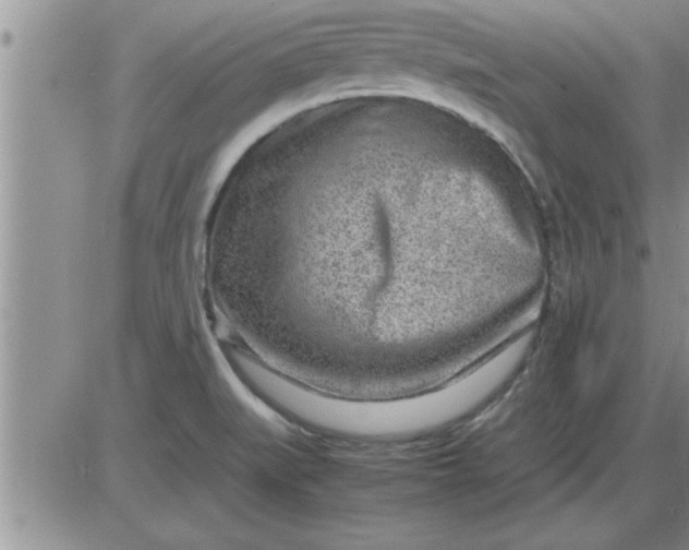 X0000085291519200703231819