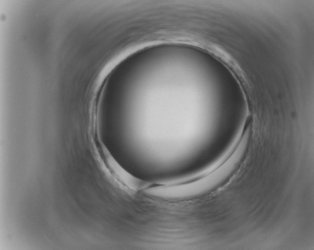 X0000085291520200703231819