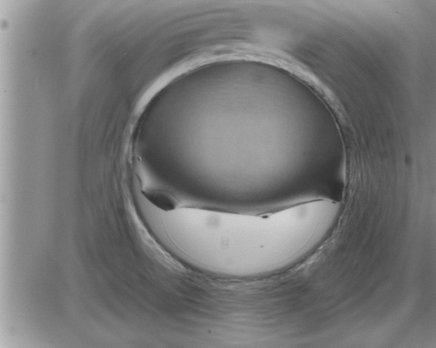 X0000085291522200703231819