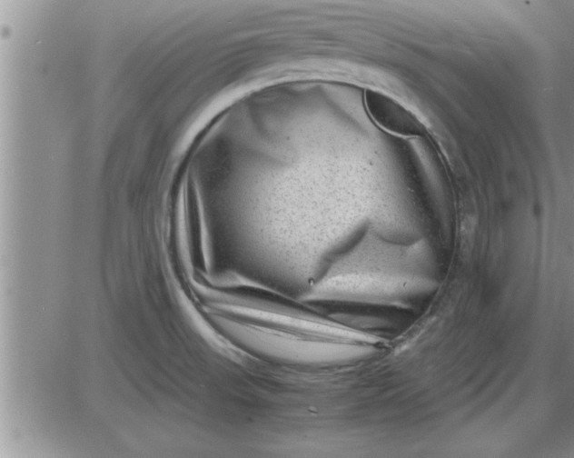 X0000085291523200703231819