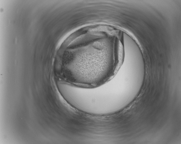 X0000085291524200703231820