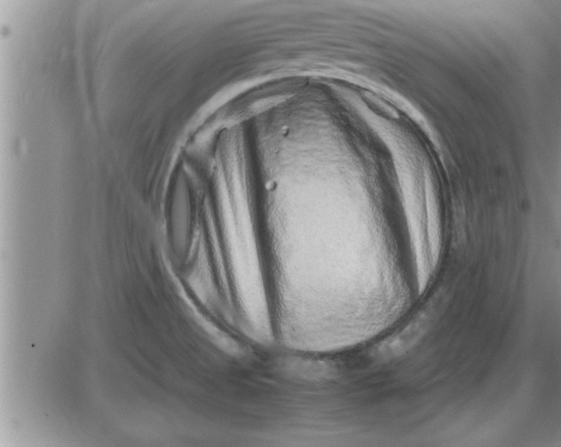 X0000085291525200703231820