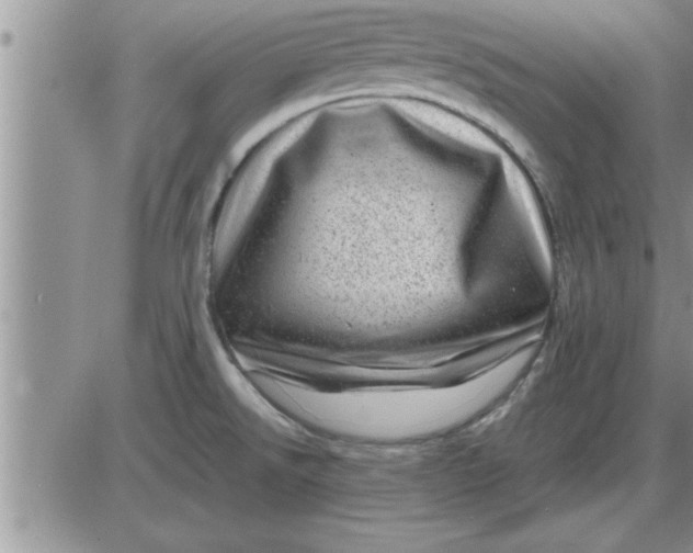 X0000085291526200703231820